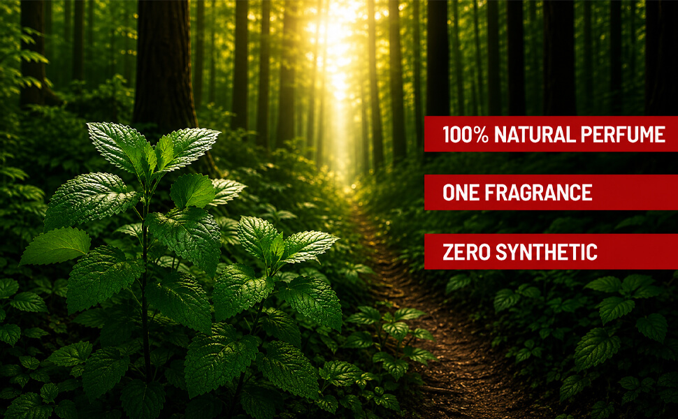 website banner
